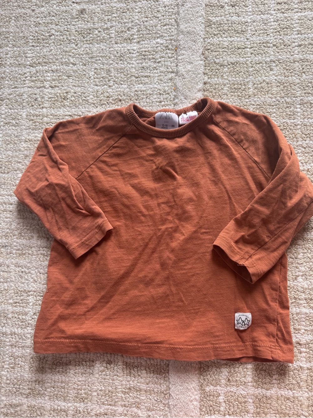 Zara Kids Long-Sleeve Crewneck Top in Burnt Orange